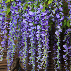 Real Touch seda boda decorativa Artificial Wisteria vid hogar decorativo telón <span class=keywords><strong>de</strong></span> fondo Wisteria flor colgante <span class=keywords><strong>planta</strong></span> Artificial - Product Image 1