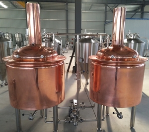 RM-500L microcervecerias - Product Image 5