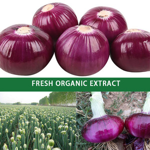 HONGDA Cung Cấp 5% 20% 40% Bột Quercetin Bột Hành Tây Chiết Xuất Từ Hành Tây - Product Image 3