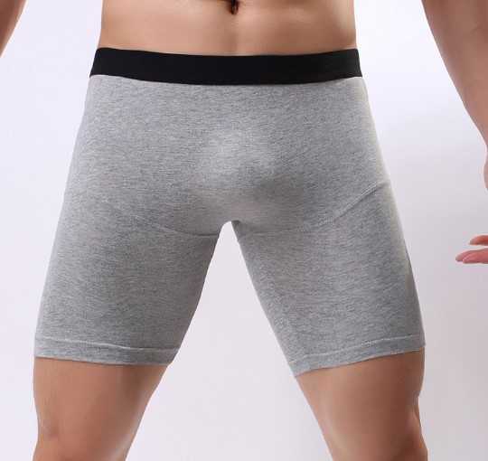 Bóxer Sexy sin costuras para hombre, ropa interior transparente con bulto,  calzoncillos de tiro bajo, Gay, 00806|Calzoncillos| - AliExpress