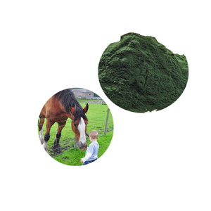 Qualité supérieure 100% Naturel pur Poudre de <span class=keywords><strong>Spiruline</strong></span> Bleue <span class=keywords><strong>Spiruline</strong></span> pour Aliments pour Chevaux - Product Image 4