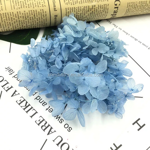 Decorazione di cerimonia nuziale materiale fai-da-te jiangfiori decorativi naturali e ghirlande fiore conservato tocco reale Anna <span class=keywords><strong>ortensia</strong></span> - Product Image 2