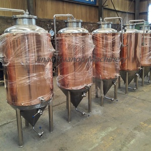 Microcervecería barra fermentadora de acero inoxidable 200L Pub-<span class=keywords><strong>BREW</strong></span> sistema de elaboración de cerveza artesanal - Product Image 3