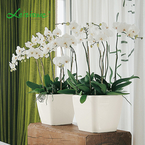 Leizisure desde pequeños a grandes 6 tamaños de jardín exterior y macetas decorativas de plástico cuadradas para interiores - Product Image 1