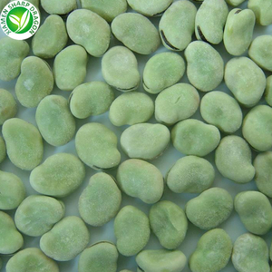 Verde a granel fresco IQF Fava pelados congelados <span class=keywords><strong>Broad</strong></span> Bean - Product Image 6
