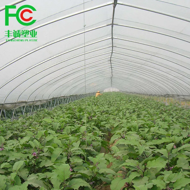 Agriculture UV treated plastic film greenhouse /LDPE greenhouse film