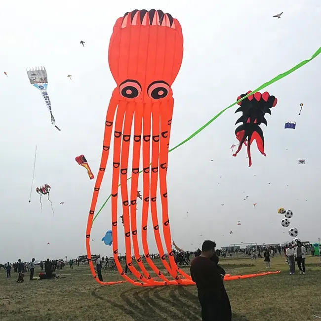 Gigante mostrador inflável polvo kite 3d em forma de animal peixe kite da fábrica kite