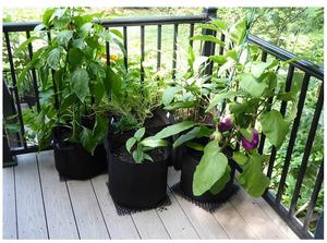 Pots hydroponiques en tissu, pot <span class=keywords><strong>de</strong></span> <span class=keywords><strong>culture</strong></span> avec poignées, pour la plantation <span class=keywords><strong>de</strong></span> pommes <span class=keywords><strong>de</strong></span> <span class=keywords><strong>terre</strong></span>, rond, 50 Gallons, 100% - Product Image 4