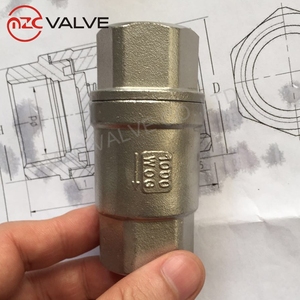 Lente Geladen Terugslagklep 1000psi Rvs Terugslagklep - Product Image 5