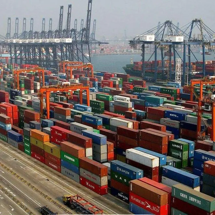 Carga Internacional de mar servicio de carga promotor de envío de China a Miami