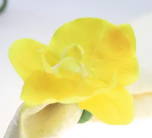 तितली फूल नैपकिन रिंग शादी की सजावट थोक सस्ते नैपकिन धारक Qn18102906