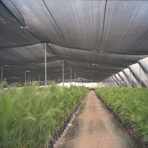 Service life over 5 years Green virgin Material HDPE Saran shadow Mesh Raschel net shade - Product Image 3