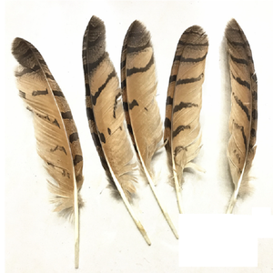 Natural Owl Eagle Feather 20-25cm DIY Craft Quill Smudge Fan Vase Brazil Carnival Costume