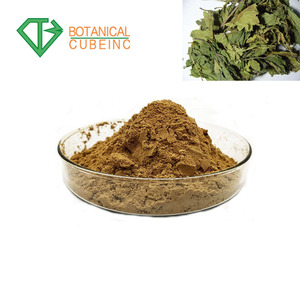 Natural Fructus Mori extracto de hoja de <span class=keywords><strong>morera</strong></span> polvo de extracto de - Product Image 5