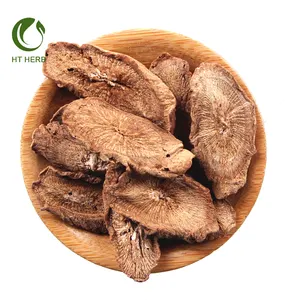 China Herb Wholesale High Quality Dry Herb Burdock Niubang Good For Health