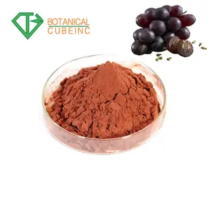 Fuente de la fábrica 95% Natural proantocianidinas OPC polvo de extracto de semilla de uva
