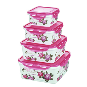 Tùy Chỉnh In Nhựa Nhỏ Container Thực Phẩm Nhựa - Product Image 1