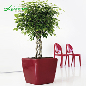 varisized de riego modernas venta al por mayor de plástico de la planta de contenedores macetas y jardineras - Product Image 1