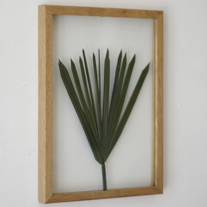 Natural Wood Floating <strong>Frame</strong> Static <strong>Album</strong> Pressed Flower <strong>Frame</strong>, Herbarium Art by MyBotanica - Product Image 3