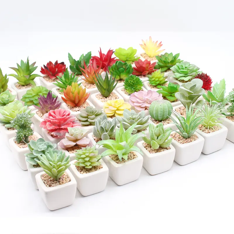 Pak Van 4 Stuks Mini Kunstmatige Vetplanten Met Pot Mini Kantoordecoratie Desktop Plastic Succulent