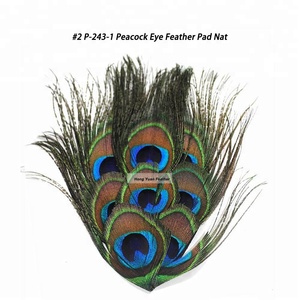 Fashional Oeil De <span class=keywords><strong>Paon</strong></span> Plume pour les Bandeaux Tout-petits Enfant Filles - Product Image 2