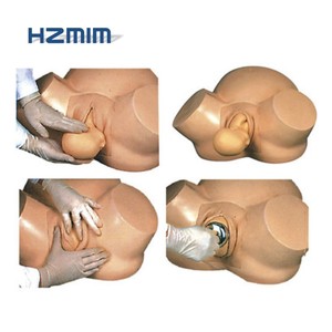 Medica <span class=keywords><strong>ciencia</strong></span> obstetricia modelo de enseñanza de anormal el parto simulador pélvica <span class=keywords><strong>en</strong></span> <span class=keywords><strong>la</strong></span> mujer modelo de formación - Product Image 4
