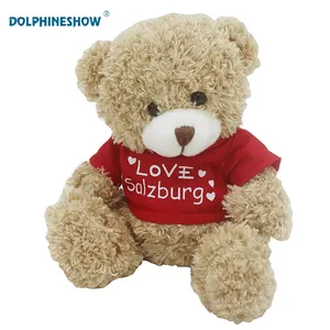 Leuke Liefde Custom Afdrukken Naam Van Teddy Bear Pluche Knuffeldier Teddy Soft Toy Goedkope OEM Teddybeer Met Branded t-shirts