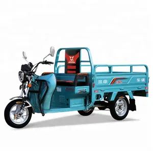 Farm Using 800W Economical Electric Tricycle Mini Truck Three Wheel Cargo Tricycle Cheaper Price