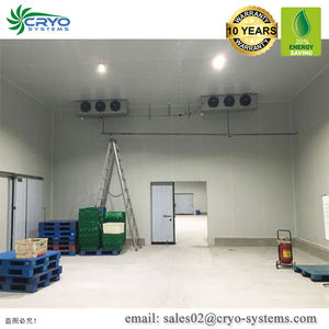 Fruits apple frais banane point froid de stockage wipeout frais vert <span class=keywords><strong>cavendish</strong></span> banane congélateur chambre design - Product Image 2