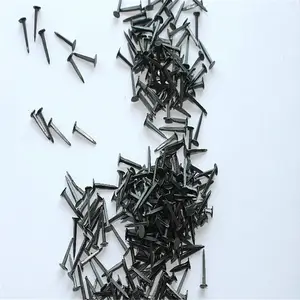 Shoe Tacks Nails From Manufacture With Cheap Price