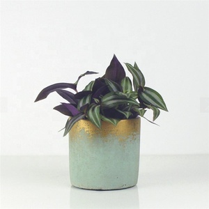 Las plantas verdes contenedor jardín casa decoración gran jardinera de hormigón moldes cerámica macetas con oro metálico - Product Image 1
