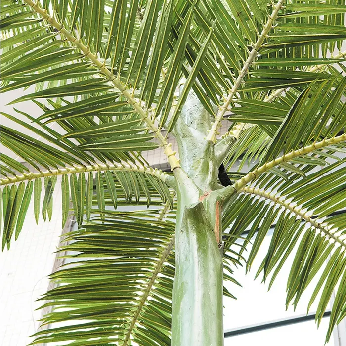 Custom made 6.3m coconut palm tree plants fiberglass artificial date palm 3meter palm trees indoor