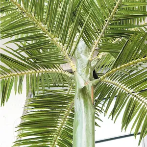 مخصص 6.3m شجرة جوز هند النباتات الفيبرجلاس النخيل الاصطناعي 3 متر أشجار النخيل داخلي