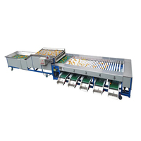 3ton/Uur Automatische Ronde Ovale Fruitgroente Ui Avocado Citroen Sorteermachine