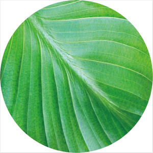 Producto de china encargo personalizado <span class=keywords><strong>itsa</strong></span> Toallas de playa - Product Image 5