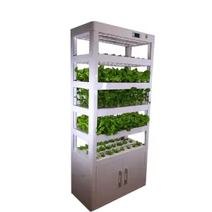 Hydroponic Plant Factory Hydroponic Growing Vertical System Plant Factory