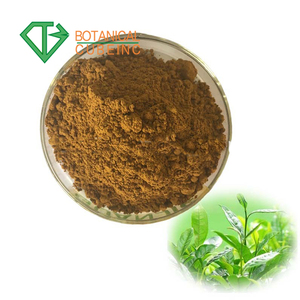 Producto de la salud <span class=keywords><strong>extracto</strong></span> de té <span class=keywords><strong>verde</strong></span> 98% té polifenol - Product Image 1