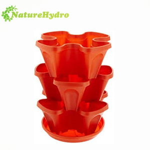 Liên Hệ Nhà Cung Cấp Vườn Chậu - Product Image 6