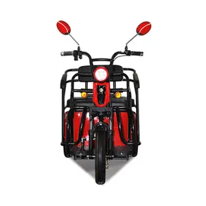 Hai Chỗ Ngồi Ba Bánh Trike Electric Scooter Moped Đối Với Người Lớn/Người Cao Tuổi