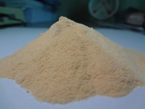 ตัวอย่างฟรีแห้งมะละกอผง/เมล็ดมะละกอผง/มะละกอผงสารสกัดจากใบ - Product Image 6