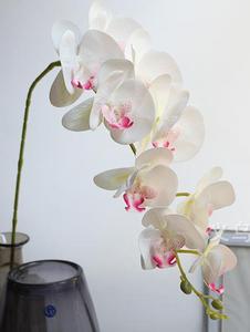 Alta calidad artificial mariposa orquídea 3D Impresión de flor para decoración de la boda - Product Image 5