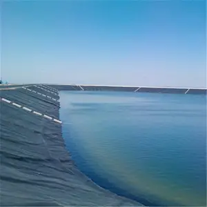 0.2mm 매립 커버 부드러운 안감 LDPE/HDPE Geomembrane 물고기 농업