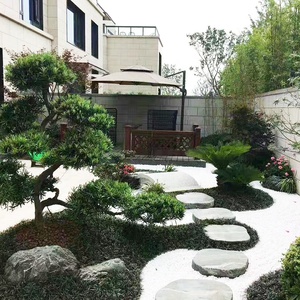 Pierres de marche naturelles vertes Tobiishi pour jardin zen <span class=keywords><strong>japonais</strong></span>, revêtement antidérapant pour sol, <span class=keywords><strong>pavage</strong></span> à vendre - Product Image 5