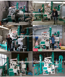 Usine prix mini moulin à <span class=keywords><strong>riz</strong></span> à vendre avec des pièces de rechange au <span class=keywords><strong>Pakistan</strong></span> - Product Image 3
