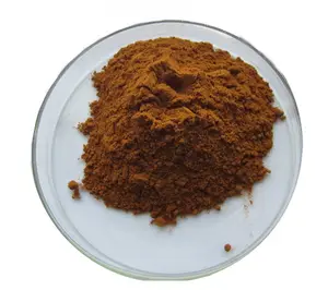 Shilajit-polvo negro, extracto de Shilajit, 100%