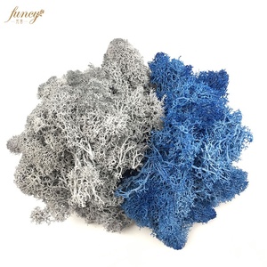 Reale Foresta Stabilizzato <span class=keywords><strong>Artificiale</strong></span> Irlandese Renna Conserve di <span class=keywords><strong>Muschio</strong></span> - Product Image 6