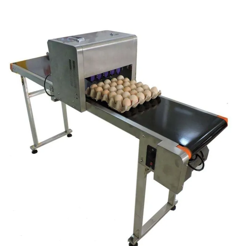 Best quality high dpi inkjet egg printer print 6 lines eggs direct jet printer