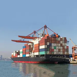 Shenzhen logística internacional envío barato a Bulgaria carga de Mar de China