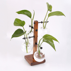 Vaso di fiori in vetro trasparente moderno <span class=keywords><strong>con</strong></span> Base in <span class=keywords><strong>legno</strong></span> Design creativo appeso per la decorazione della casa giardino natale vacanza Rattan materiale - Product Image 3