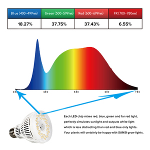 220VAC 120VAC Grow Light Bulb15W 24W <span class=keywords><strong>36W</strong></span> Spectrum LED Plant Light Bulb para plantar en interiores Jardinería Green House - Product Image 2